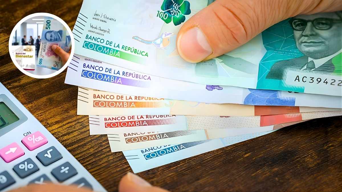 Pago de gratificación diciembre 2026 fechas clave y cálculo del beneficio laboral